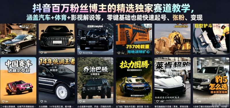 抖音百万粉丝博主的精选独家赛道教学，涵盖汽车+体育+影视解说等，零基础也能快速起号、涨粉、变现万象阁-VIP网课-网赚项目-创业项目-精品资源-技能教程万象阁