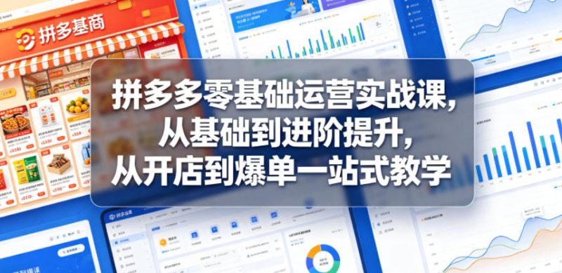 拼多多零基础运营实战课，从基础到进阶提升，从开店到爆单一站式教学万象阁-VIP网课-网赚项目-创业项目-精品资源-技能教程万象阁