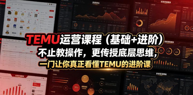 TEMU运营课程(基础+进阶),不止教操作,更传授底层思维,一门让你真正看懂TEMU的进阶课万象阁-VIP网课-网赚项目-创业项目-精品资源-技能教程万象阁