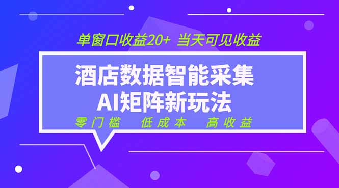 2026酒店数据采集ai智能矩阵新风口 低成本 高收益 当天见收益 单窗口20+万象阁-VIP网课-网赚项目-创业项目-精品资源-技能教程万象阁