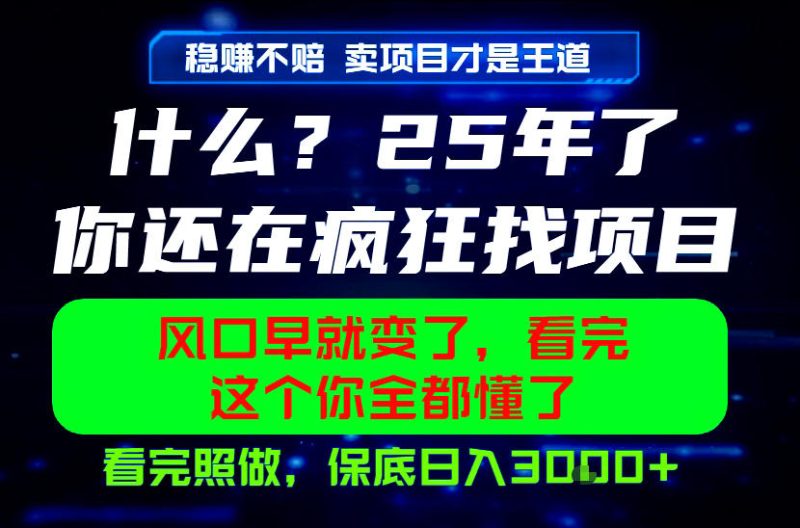 26年,请不要疯狂的找项目做了!卖项目才是真的稳賺不赔,看完照做,保底日入1k+【揭秘】万象阁-VIP网课-网赚项目-创业项目-精品资源-技能教程万象阁